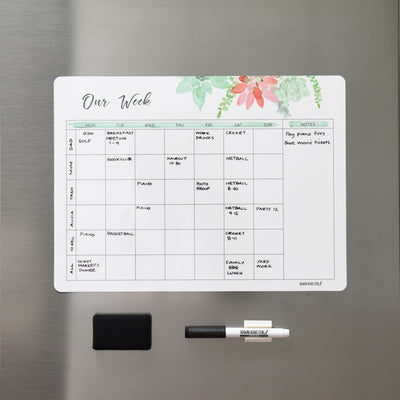 SALE FAMILY WEEK     Succulents