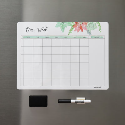 SALE FAMILY WEEK     Succulents