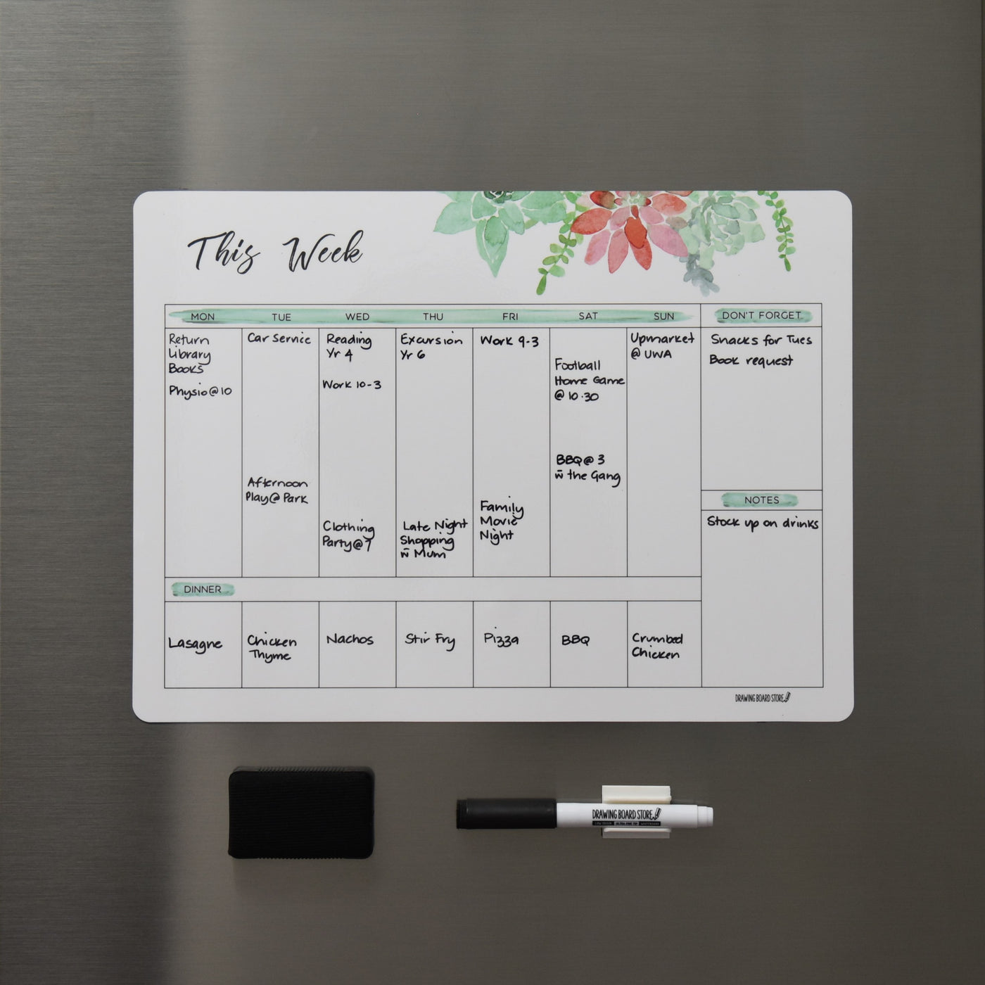 SALE WEEKLY Succulents