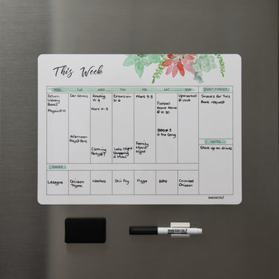 SALE WEEKLY Succulents