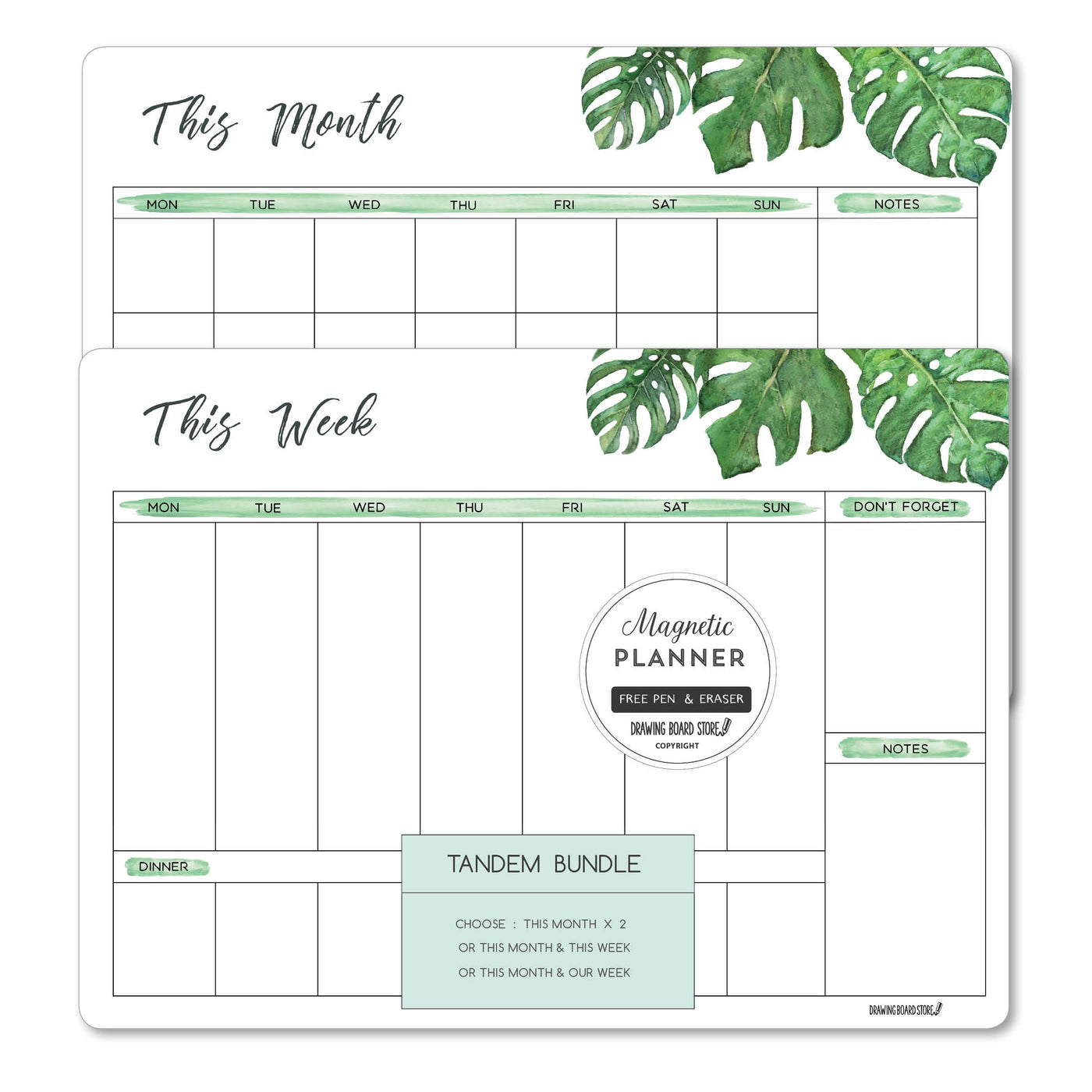 TANDEM PLANNERS  Monstera