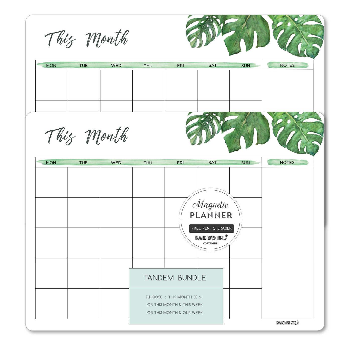 TANDEM PLANNERS  Monstera