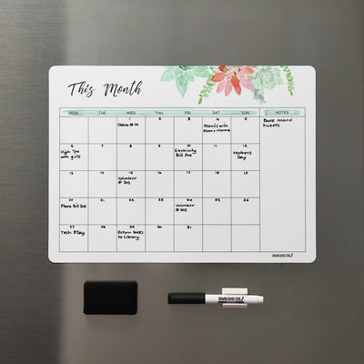 SALE MONTHLY Succulents